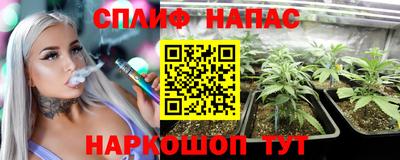 PSILOCYBIN Малгобек