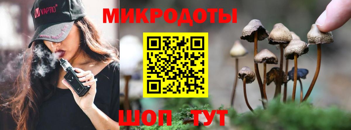 Ишимбай  Псилоцибиновые грибы MAGIC MUSHROOMS  Вход с VPN  Галлюциногенные грибы мухоморы 