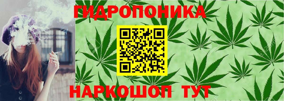 Бошки Шишки семена Ишимбай